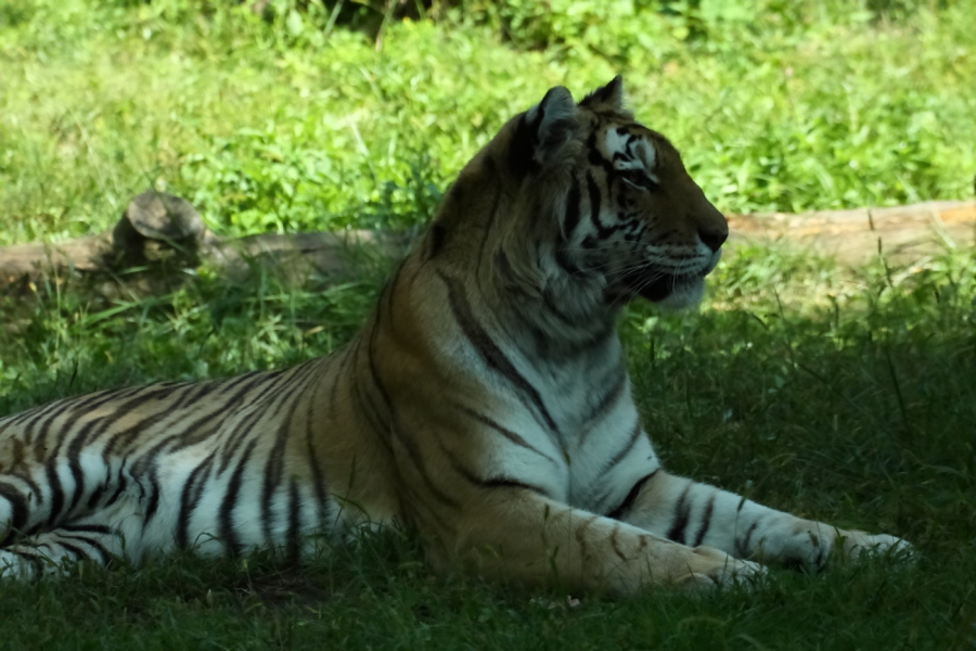 2013 09 20 HTP 09321